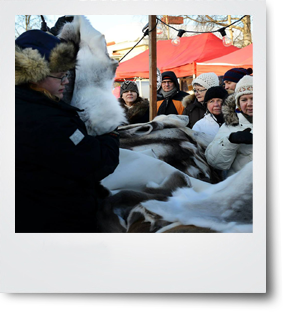 Jokkmokk Wintermarkt